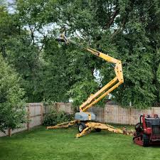 Best Tree and Shrub Care  in Madisonville, TX