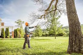 Best Tree Removal Service  in Madisonville, TX